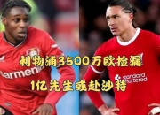 乐动体育登录-1.3亿欧！拒绝利物浦1.2亿英镑报价或转投沙特，伊萨克到底咋想的
