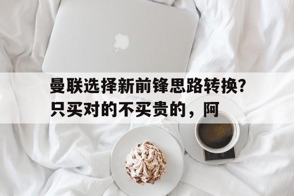 包含曼联选择新前锋思路转换？只买对的不买贵的，阿的词条