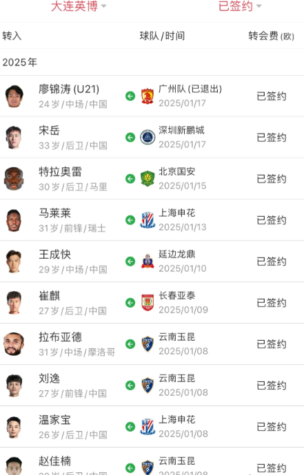 2025年夏季转会窗口五大联赛引援榜！前十名不见的简单介绍