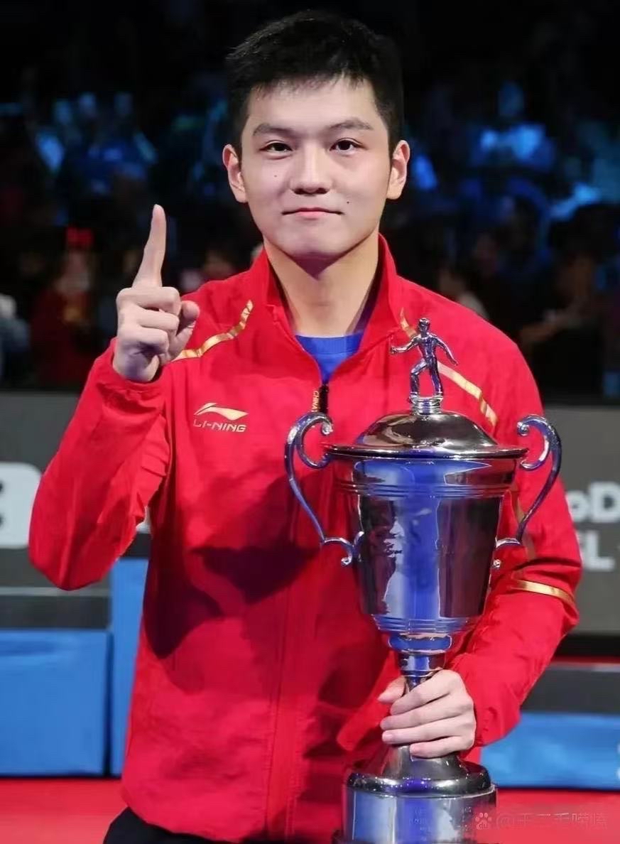 樊振东好兄弟拒绝德乙！和全运会乒超冲突，需保障国乒地方队利益的简单介绍