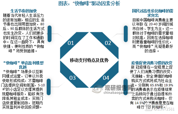 篮球联赛领域竞争趋势逐渐加剧